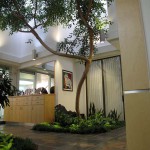 New Horizons Center for Cosmetic Surgery