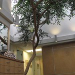 New Horizons Center for Cosmetic Surgery