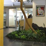 New Horizons Center for Cosmetic Surgery